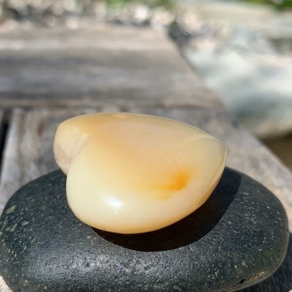 Dendritic Plant Agate Polished Puffy Heart Crystals Chakras Healing Worry Stone - Picture 7 of 8